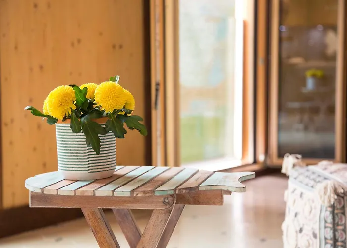 The Wooden House Vv